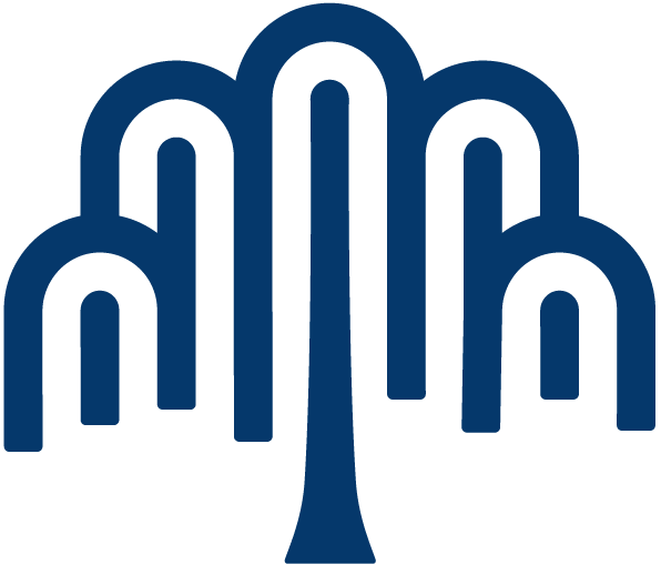 Xylem
